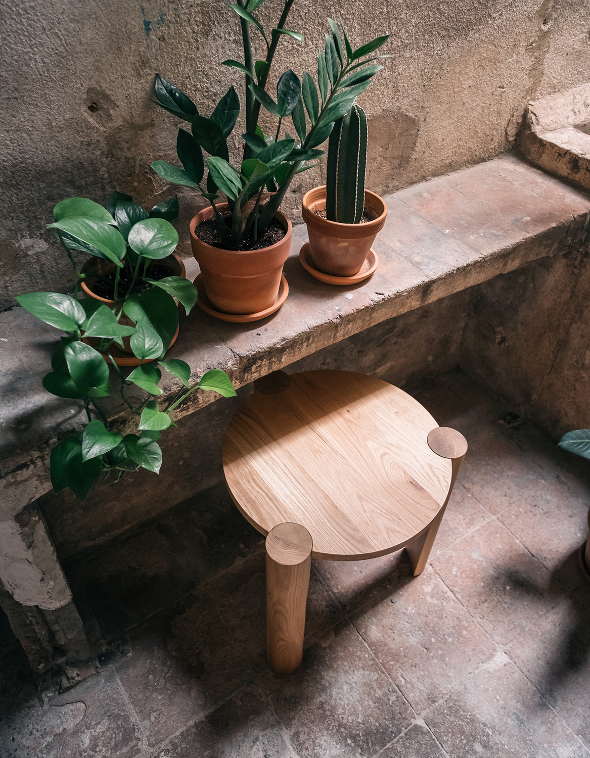 Image for Domus